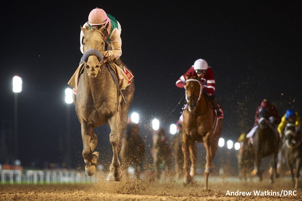 Dubai arrogate
