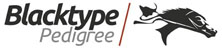 logo Blacktype2