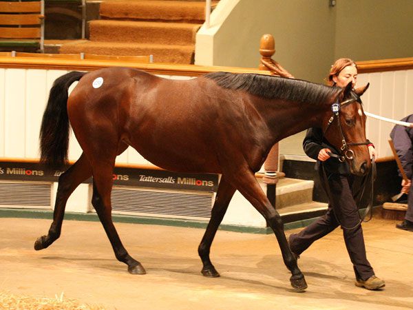 2013Lot1230 big