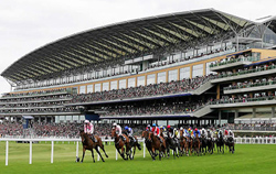 Ascot