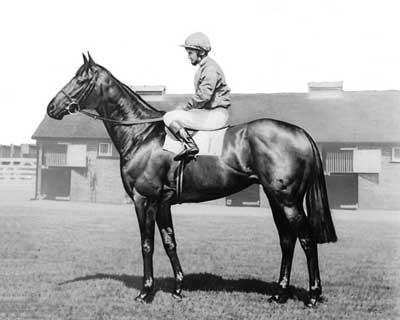 Brigadier Gerard