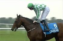 Dewhurst 2013