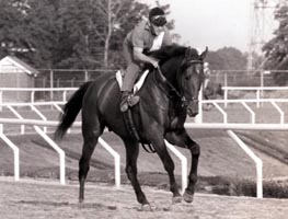 Dr Fager