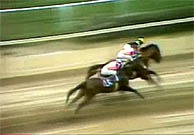 Exceller