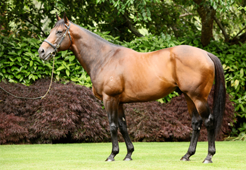 Fastnet Rock