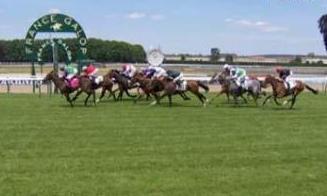 Glorioso RennyS Chantilly