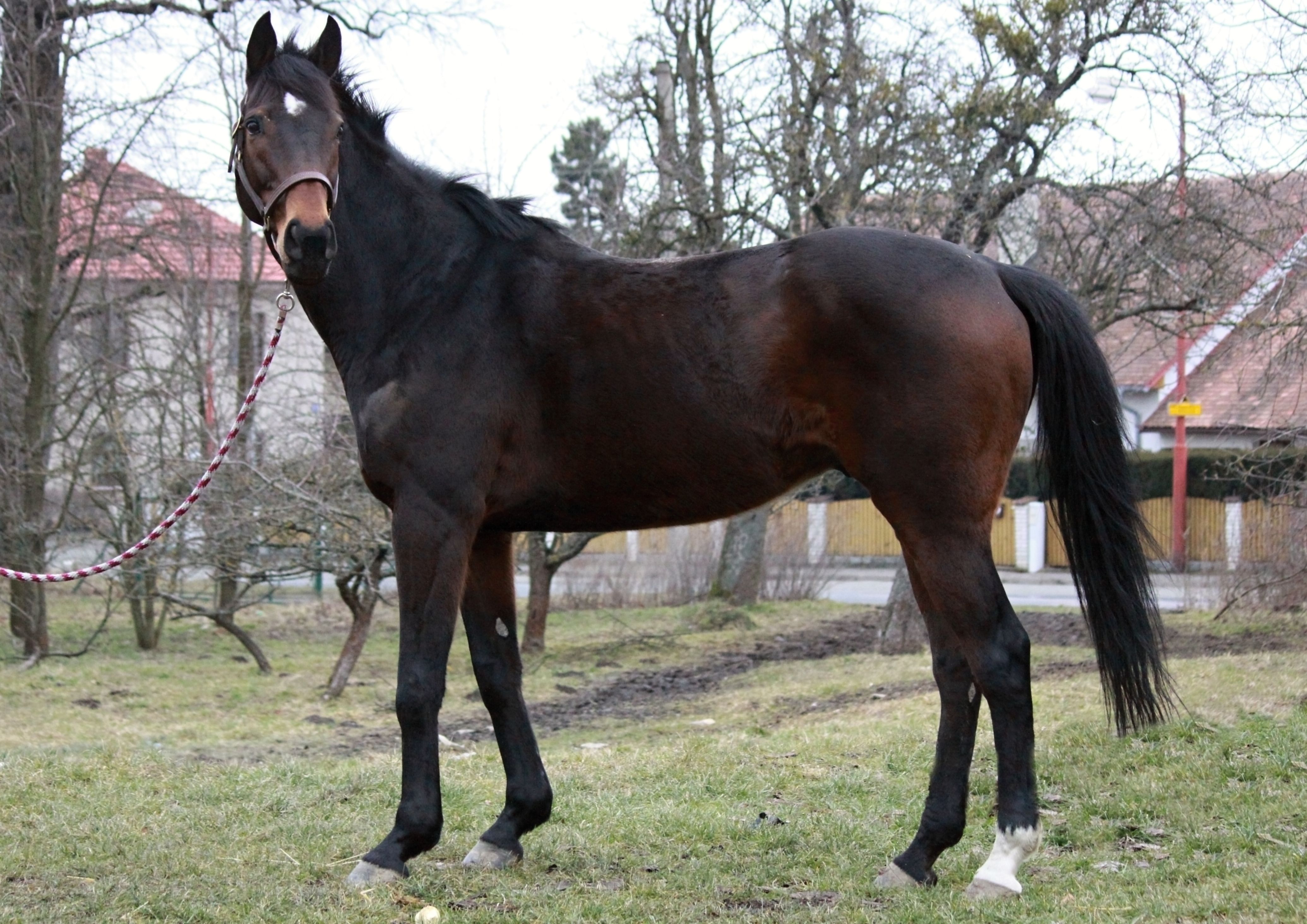 Kabelkova Trezor