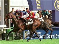 Montjeu Arc