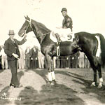 Phar Lap2