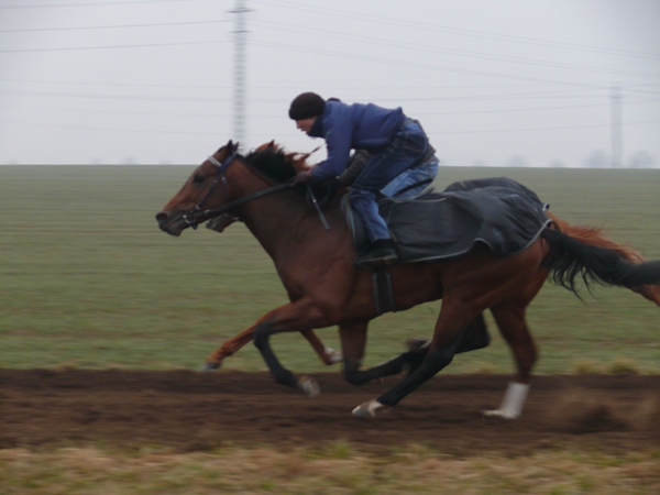 Savujev rychlaprace