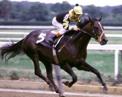 Seattle Slew