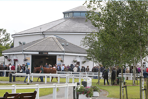 Tattersalls ireland