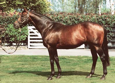 Zabeel