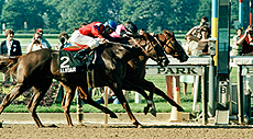 affirmed alydar