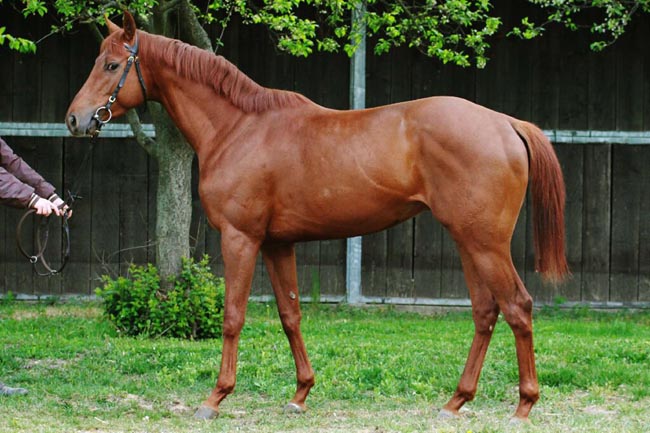 bbag Silvano