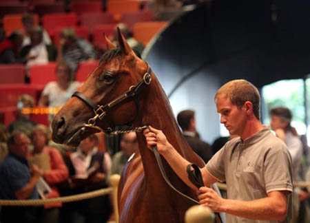 deauville 10
