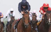 dukeofmarmalade