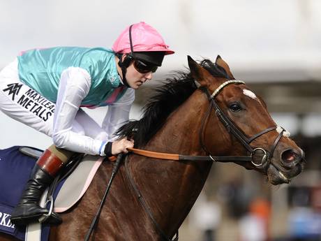 frankel