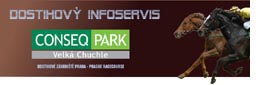 infoservis2