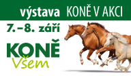 konevakci