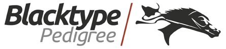 logo Blacktype