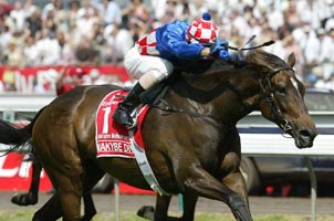 makybe diva