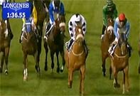 meydan dux