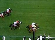 meydan sprint