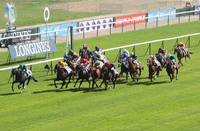 simplyozzy longchamp