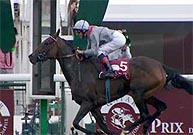 treve2