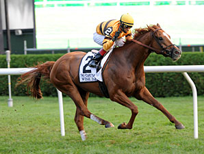 wise dan