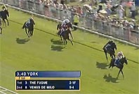 yorkshireoaks