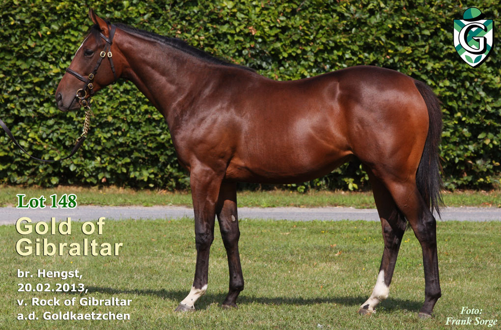 BBAG2014 Lot 148