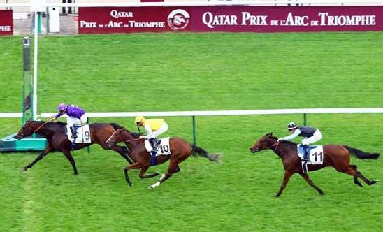 Ideal Approach Longchamp