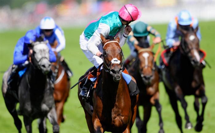 Kingman ascot