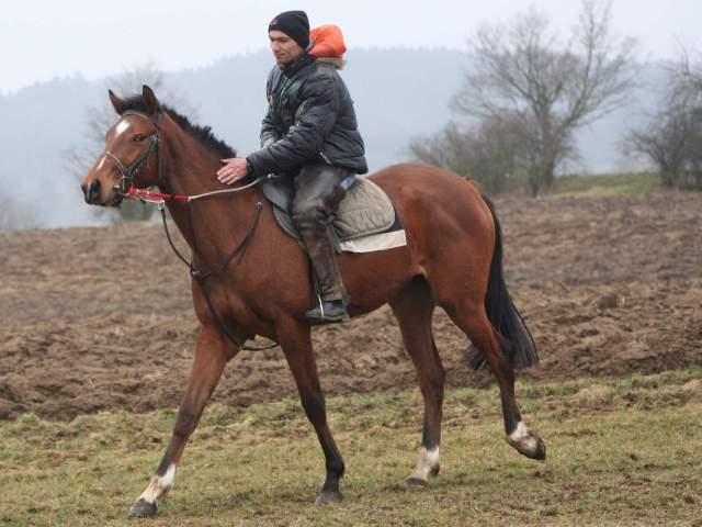 Kub Mygerta