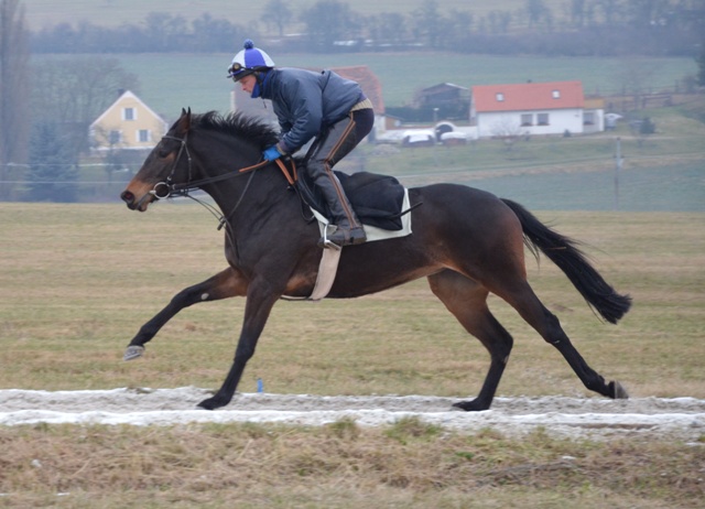 Luka Snezenka