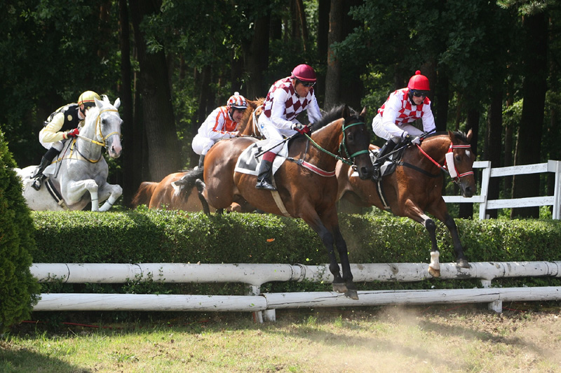 Memorial Kuchovskeho foto Vaclav Volf