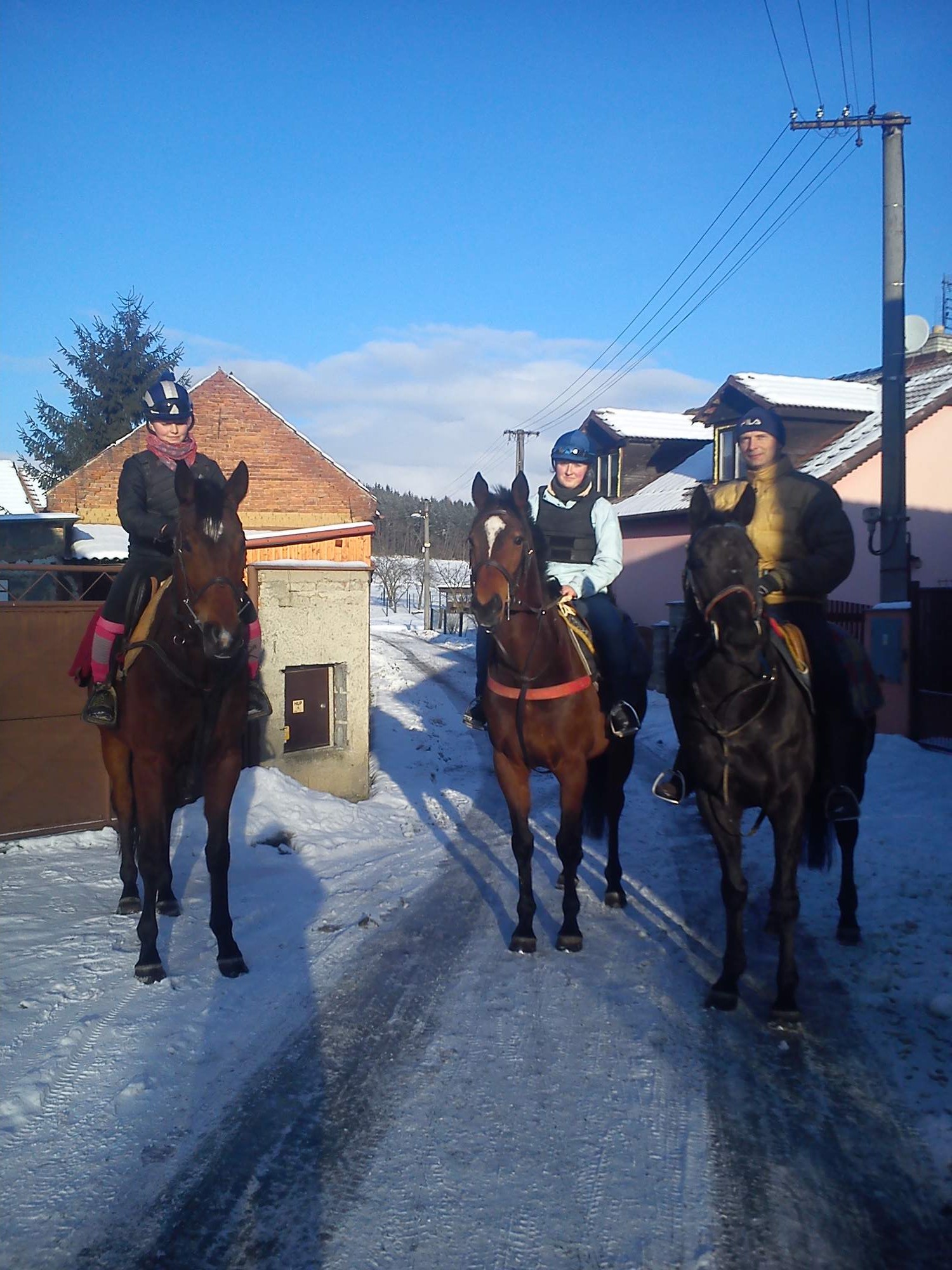 Poles SunBelina Amaragon Ursan