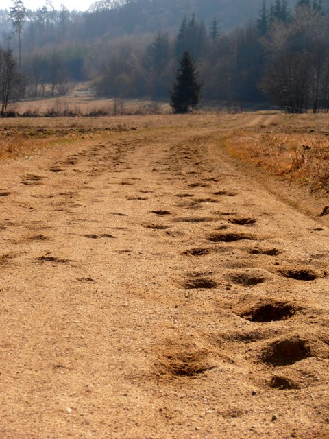 Suchanek piskovacvalovka