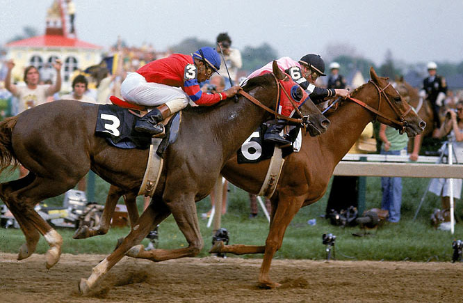 alydar-affirmed