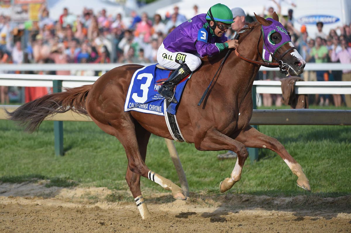 california chrome