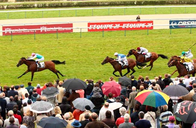 jacqueslemarois14