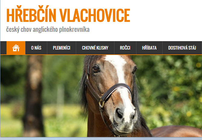 vlachovice web