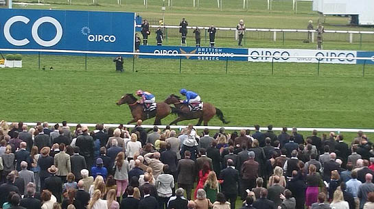 1000 guineas 2015