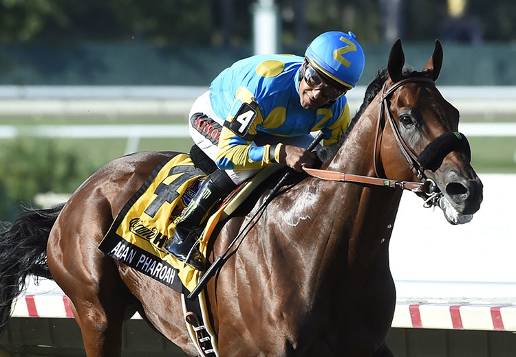 AmericanPharoah coolmore