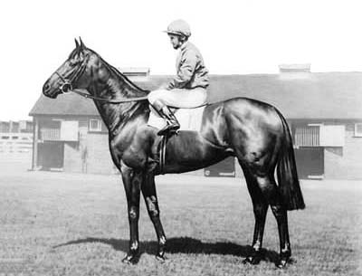 Brigadier Gerard2