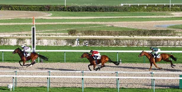 Glorioso Deauville