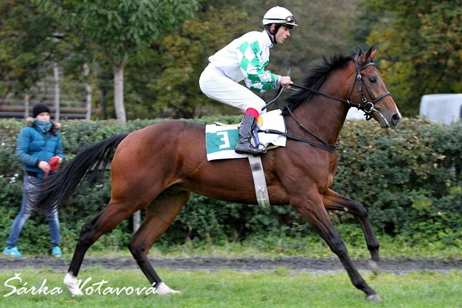 Montjeu Third