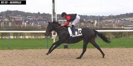 Sinbad Deauville